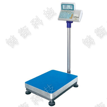 計數臺秤帶打印